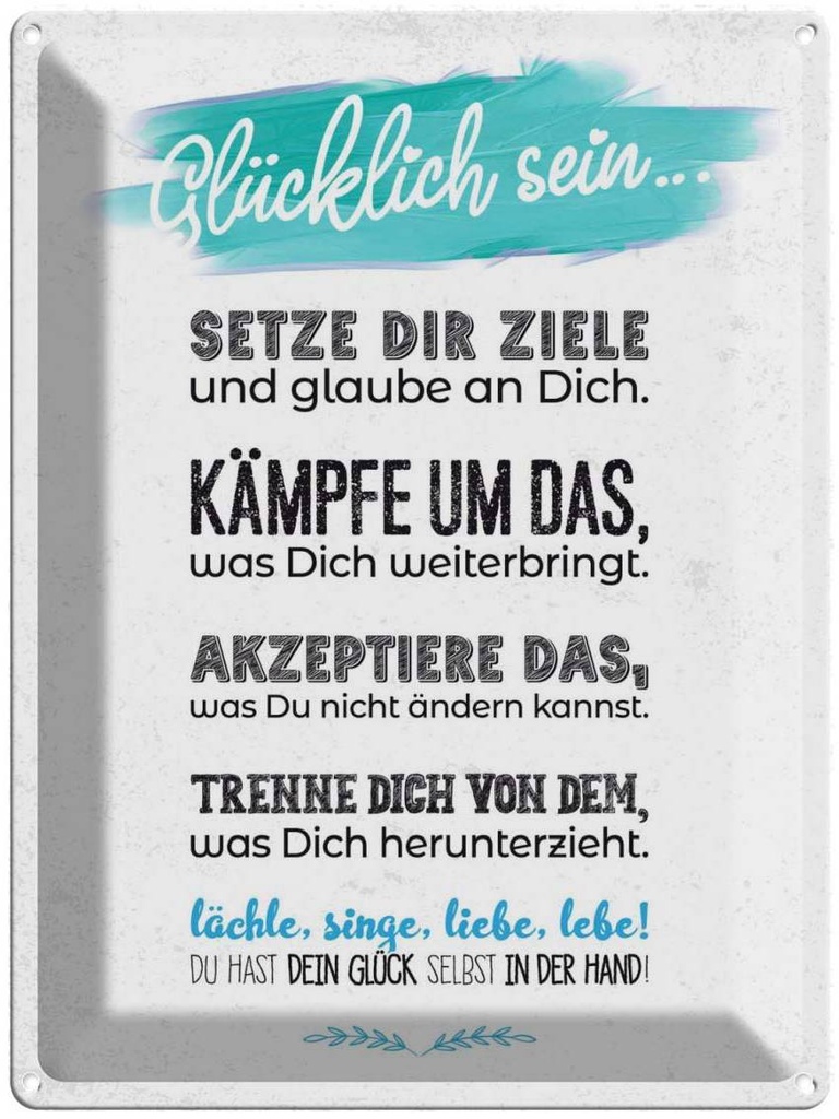 Blechschild 40x30 cm Glücklich sein setze dir Ziele Dekoration Spruch Zitat