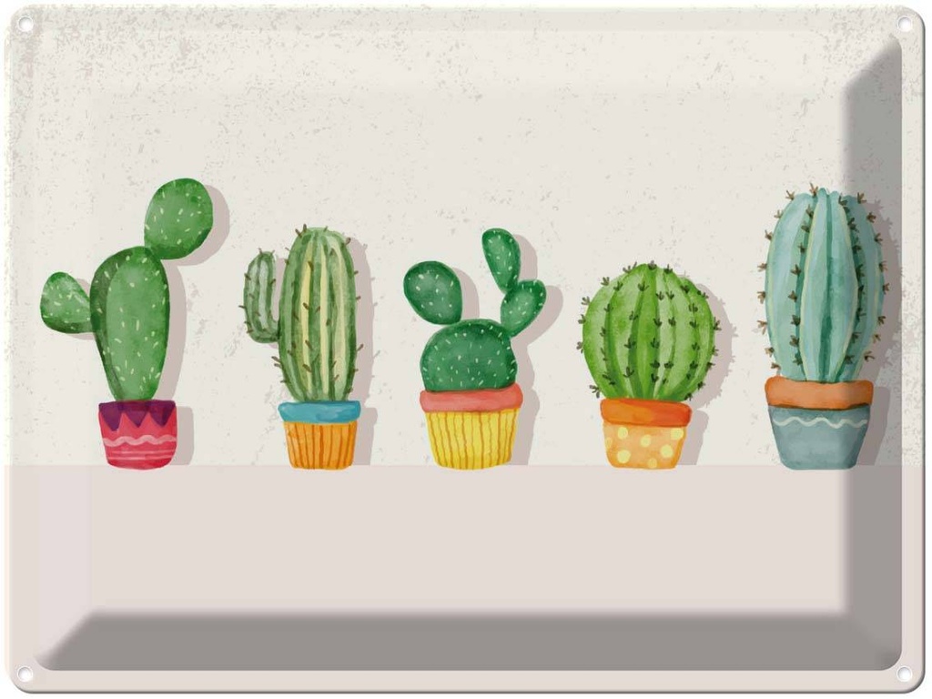 Blechschild 30x40 cm 5 Kakteen Blumentopf Kaktus Dekoration Spruch Zitat