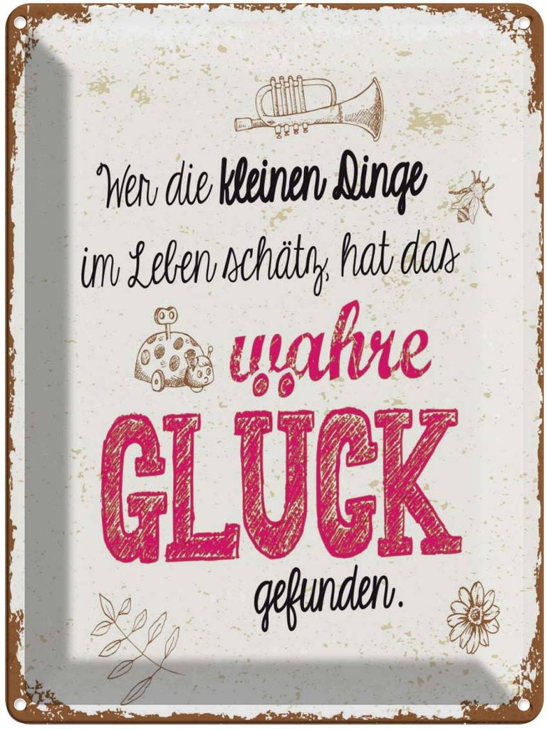 Blechschild 40x30 cm Wer kleine Dinge schätzt hat Glück Spruch Zitat