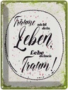 Blechschild 40x30 cm träume nicht dein Leben lebe Traum Dekoration Spruch Zitat