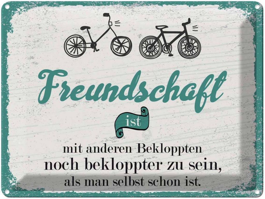 Blechschild 30x40 cm Freundschaft noch bekloppter sein Spruch Zitat