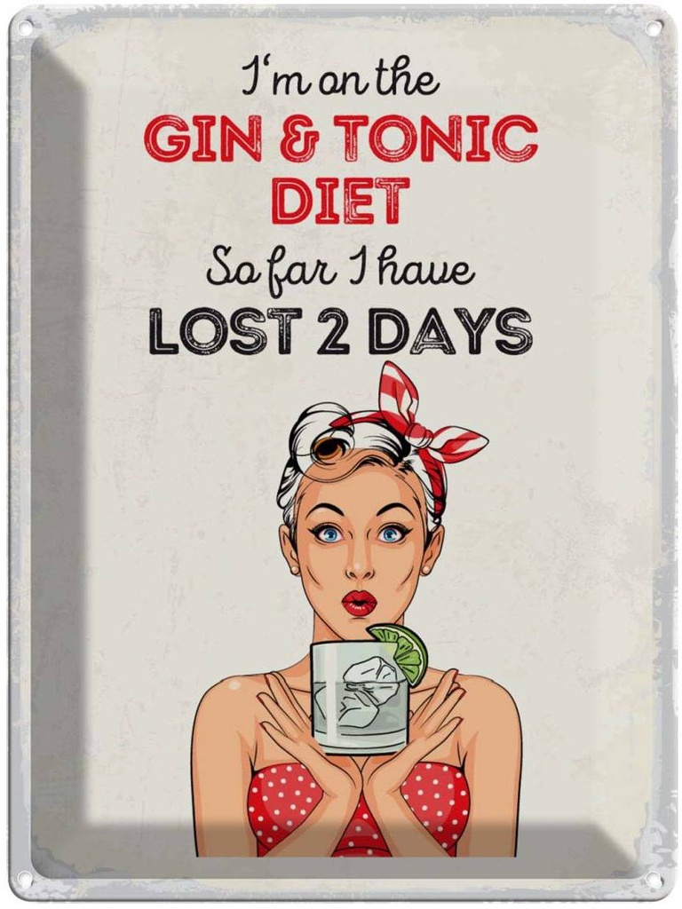 Blechschild 40x30 cm I`m on the Gin & Tonic Diet rot Spruch Zitat