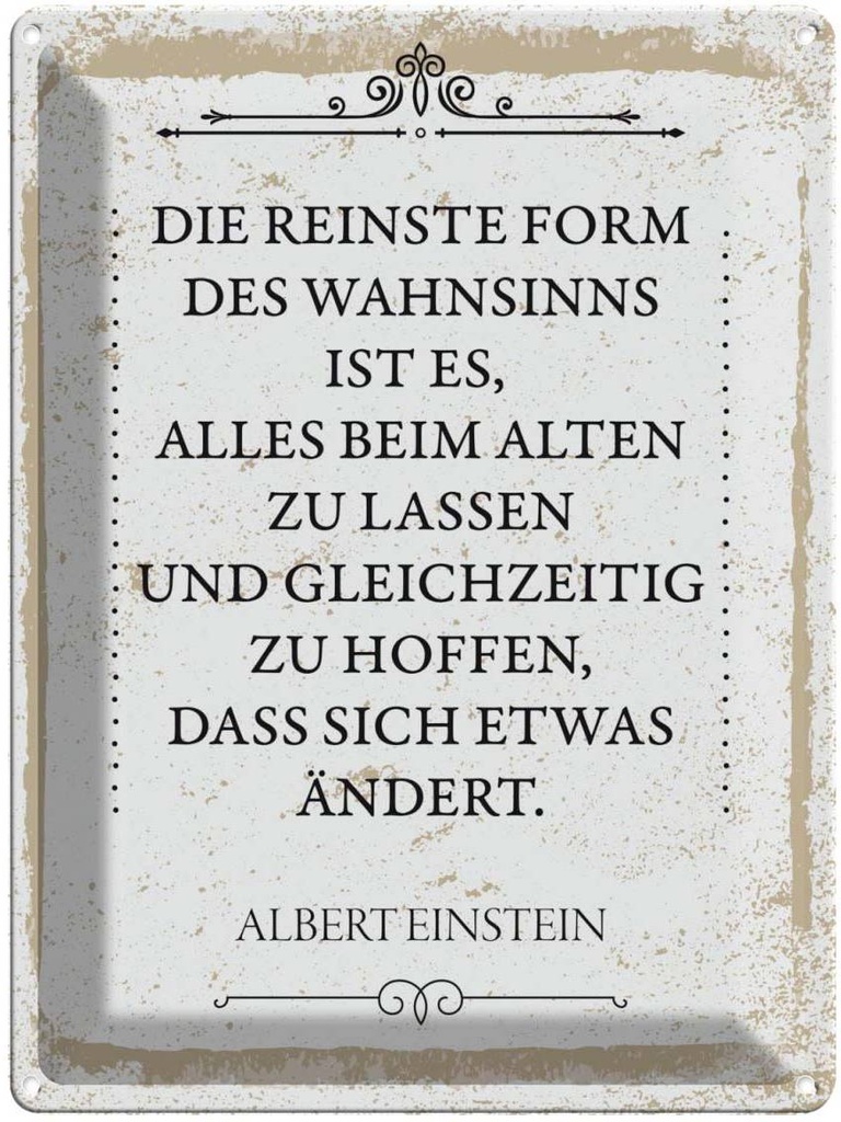 Blechschild 40x30 cm Einstein reinste Form Wahnsinns Spruch Zitat