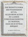 Blechschild 40x30 cm Einstein reinste Form Wahnsinns Spruch Zitat