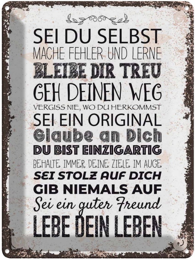 Blechschild 40x30 cm Sei du selbst mache Fehler lerne Spruch Zitat