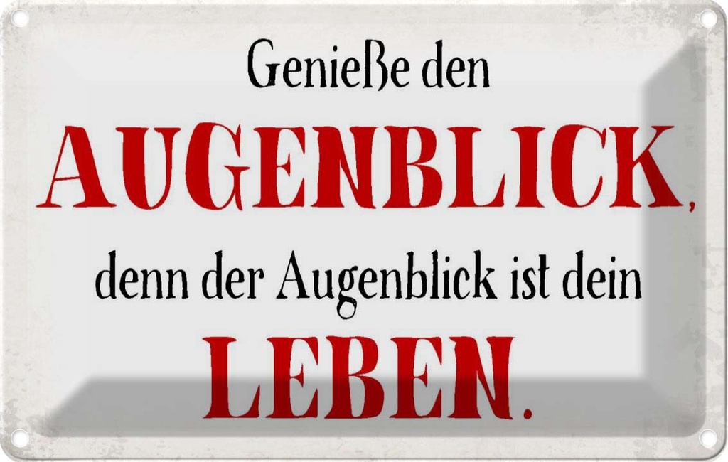 Blechschild 12x18 cm genieße den Augenblick Leben Dekoration Spruch Zitat