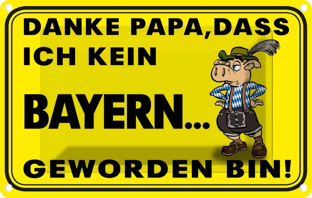 Blechschild 12x18 cm Danke Papa dass ich kein Bayer Spruch Zitat