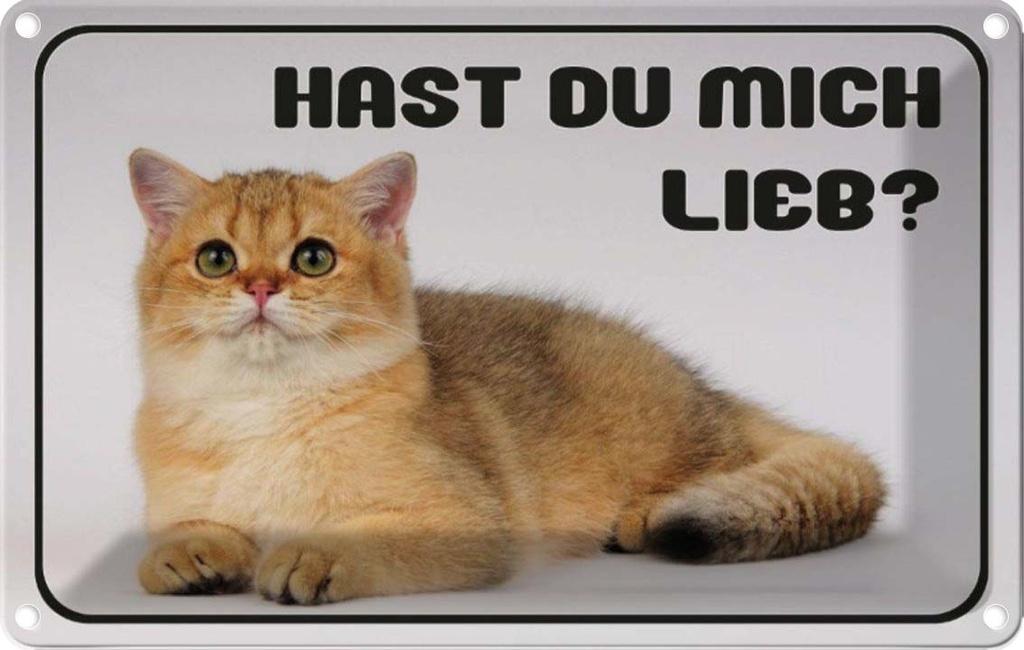 Blechschild 12x18 cm Katze hast du mich lieb? Tier Haustier