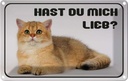 Blechschild 12x18 cm Katze hast du mich lieb? Tier Haustier