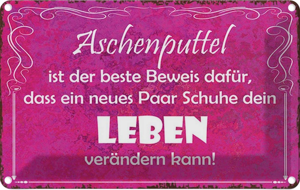 Blechschild 12x18 cm Aschenputtel Schuhe ändern Leben Spruch Zitat