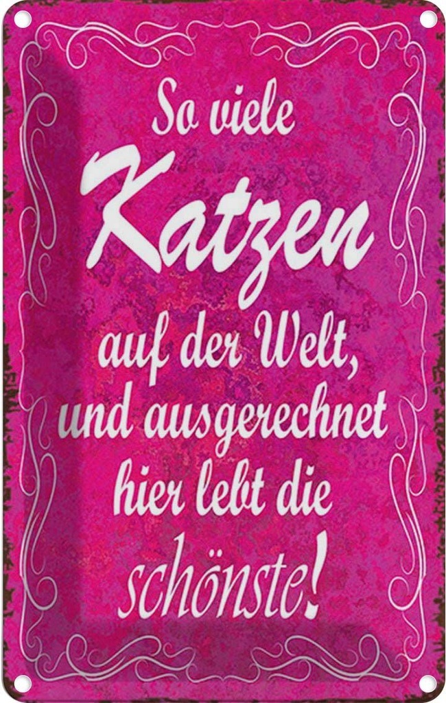 Blechschild 18x12 cm so vilele Katzen auf der Welt Tier Haustier Katze
