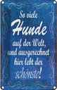 Blechschild 18x12 cm so vielen Hunde auf der Welt Tier Haustier Hund