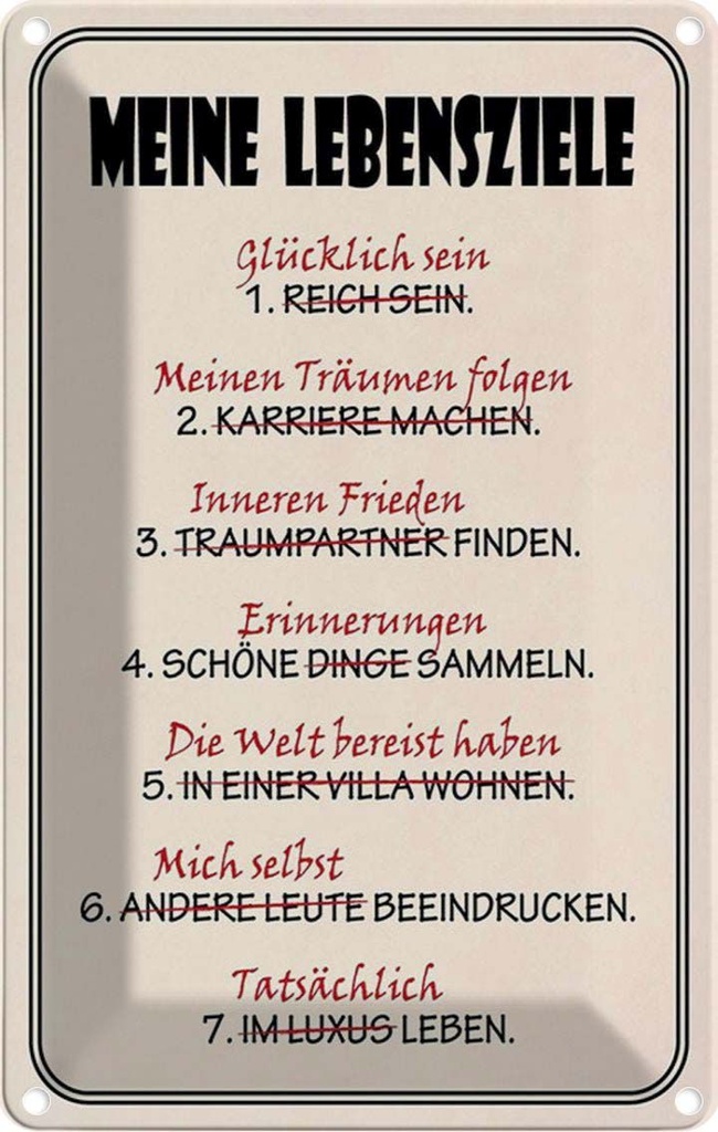 Blechschild 18x12 cm meine Lebensziele glüpcklich Dekoration Spruch Zitat