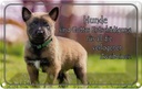 Blechschild 12x18 cm Hunde sind Gottes Entschädigung Tier Haustier Hund