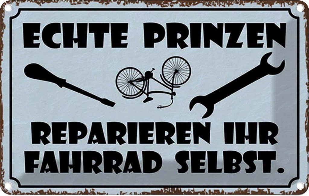 Blechschild 12x18 cm Prinze reparieren Fahrrad selbst Spruch Zitat