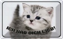 Blechschild 20x30 cm Katze ich hab dich lieb Tier Haustier