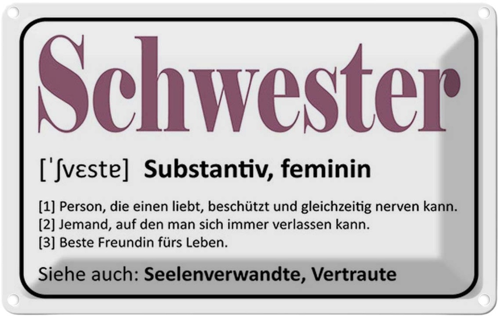 Blechschild 20x30 cm Schwester Person die einen liebt Spruch Zitat