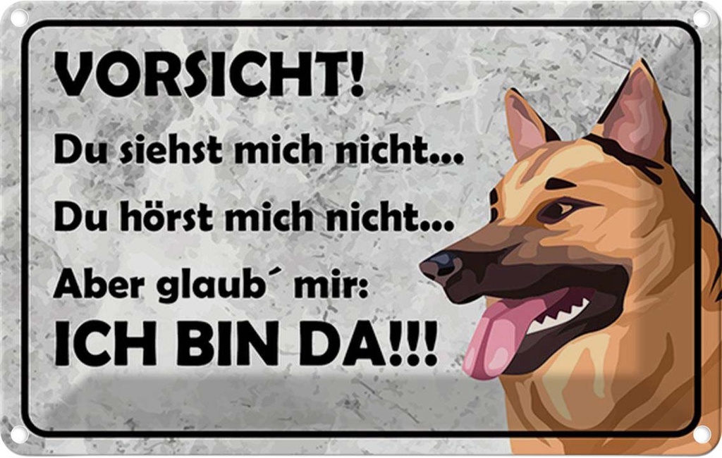 Blechschild 20x30 cm Vorsicht Hund Du siehst mich nicht Spruch Zitat