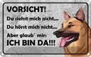 Blechschild 20x30 cm Vorsicht Hund Du siehst mich nicht Spruch Zitat