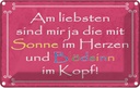Blechschild 20x30 cm am liebsten sind die mit Sonne Spruch Zitat