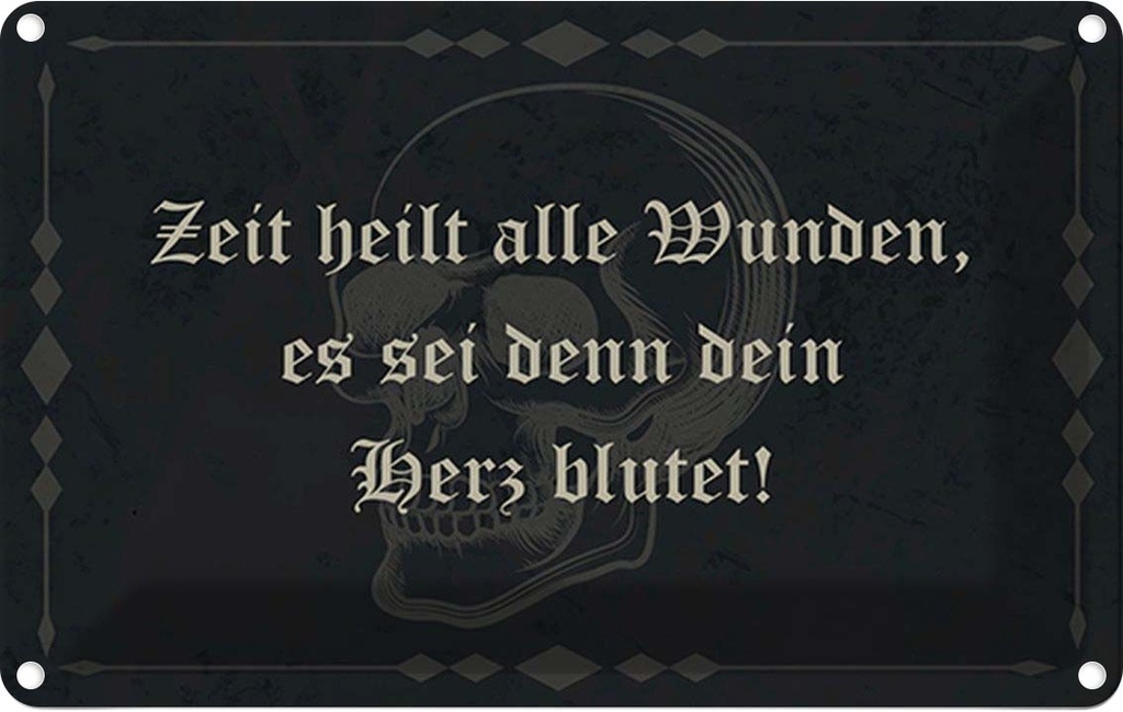 Blechschild 20x30 cm Zeit heilt alle Wunden es sei Dekoration Spruch Zitat