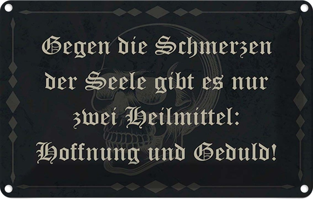Blechschild 20x30 cm Schmerzen Seele zwei Heilmittel Spruch Zitat