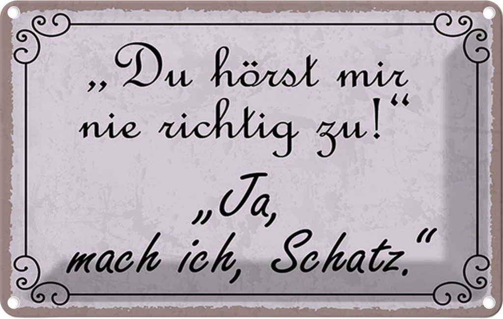 Blechschild 20x30 cm du hörst mir nicht richtig zu Dekoration Spruch Zitat