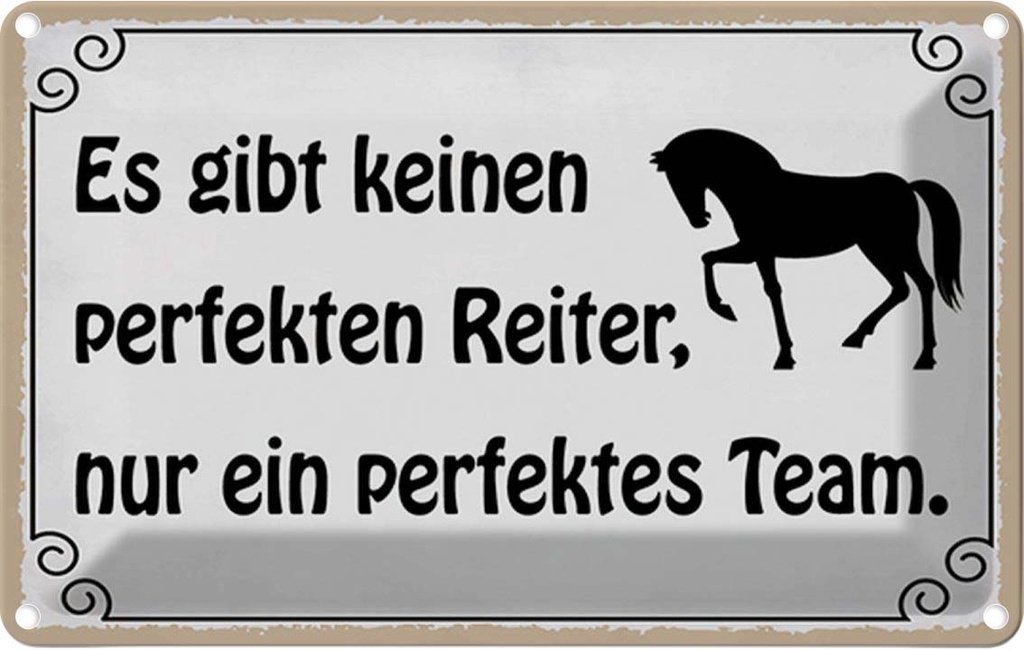 Blechschild 20x30 cm es gibt keinen perfekten Reiter Spruch Zitat