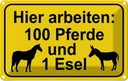 Blechschild 20x30 cm arbeiten 100 Pferde und 1 Esel Spruch Zitat