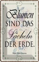 Blechschild 18x12 cm Blumen sind das Lächeln der Erde Spruch Zitat