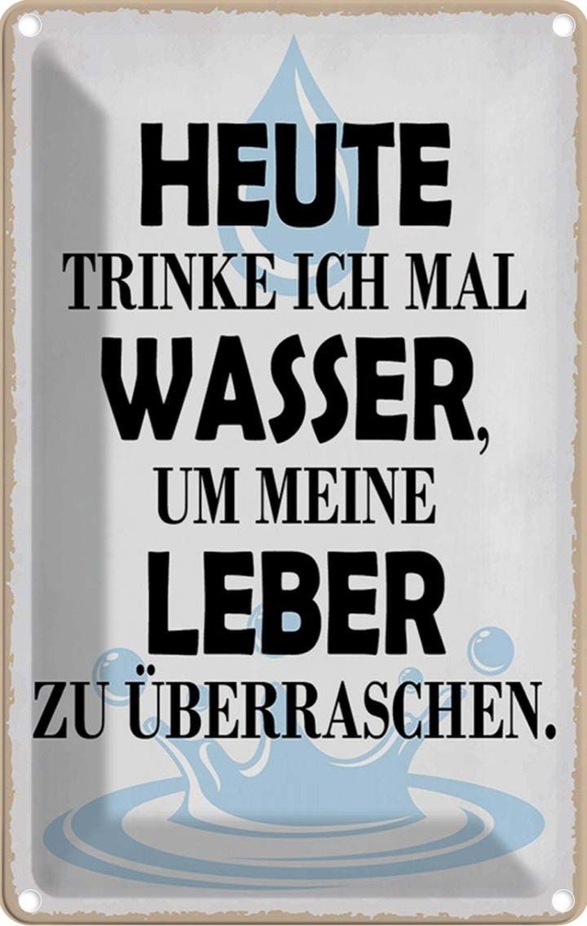 Blechschild 18x12 cm heute trinke ich Wasser Leber Essen Trinken