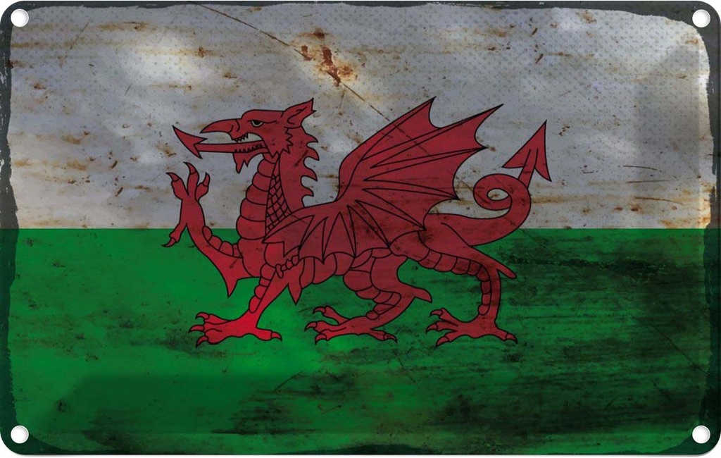 Blechschild 20x30 cm Wales Rost Flagge Fahne Wappen
