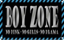 Blechschild 20x30 cm Boy Zone no pink girls drama Dekoration