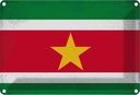 Blechschild 20x30 cm Suriname Vintage Flagge Fahne Wappen