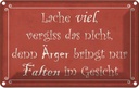 Blechschild 12x18 cm lache viel Ärger bringt Falten Dekoration Spruch Zitat