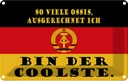 Blechschild 12x18 cm so viele Ossis bin der coolste Dekoration Spruch Zitat