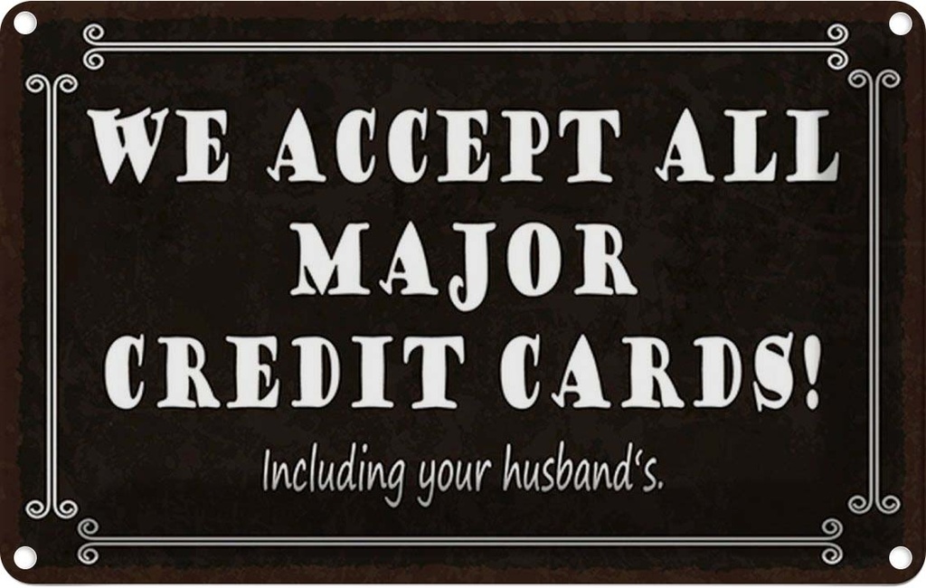 Blechschild 12x18 cm we accept all major credit cards Spruch Zitat