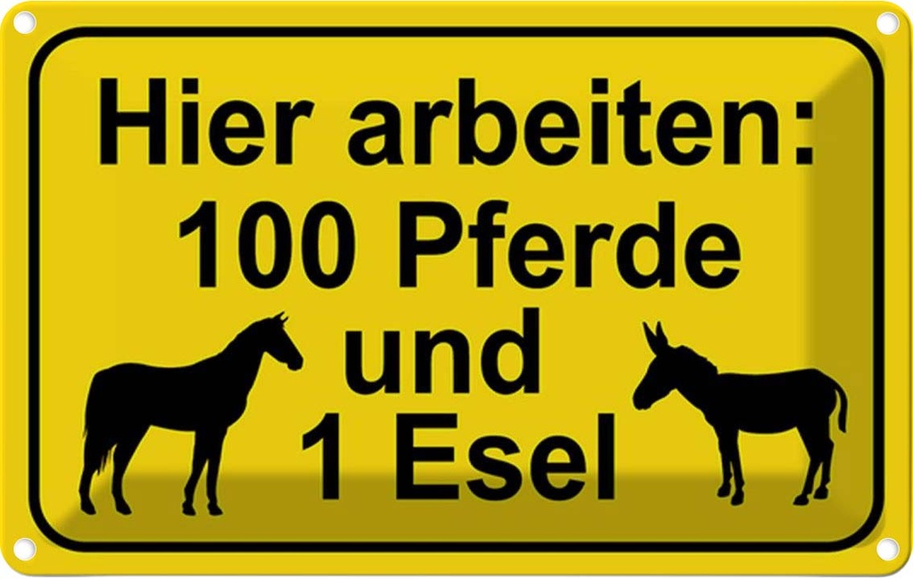 Blechschild 12x18 cm arbeiten 100 Pferde und 1 Esel Spruch Zitat