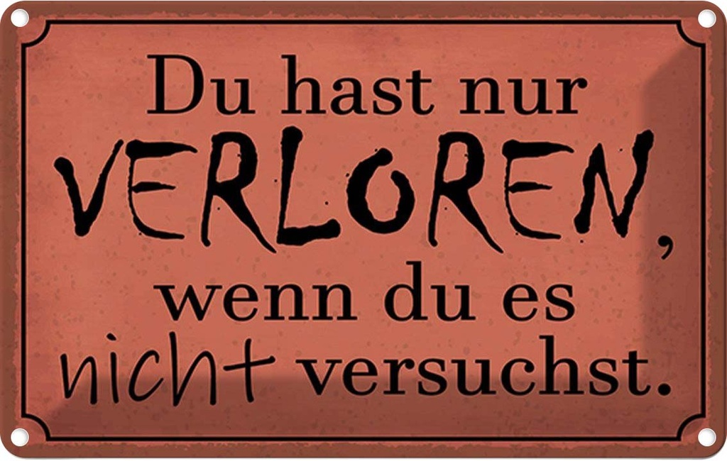 Blechschild 12x18 cm Du hast nur verloren wenn es Spruch Zitat