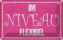 Blechschild 12x18 cm Im NIVEU flexibel Dekoration Spruch Zitat