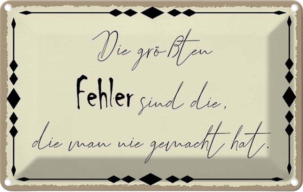 Blechschild 12x18 cm die größtne Fehler sind Dekoration Spruch Zitat
