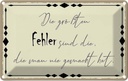 Blechschild 12x18 cm die größtne Fehler sind Dekoration Spruch Zitat