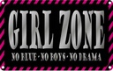 Blechschild 12x18 cm Girl Zone Zitat no blue boys Männer Frauen Spruch