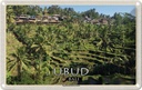 Blechschild 20x30 cm Ubud Bali Tegalalang Reisterrassen Bildmotiv Reisemotiv Abenteuer Reisen Urlaub