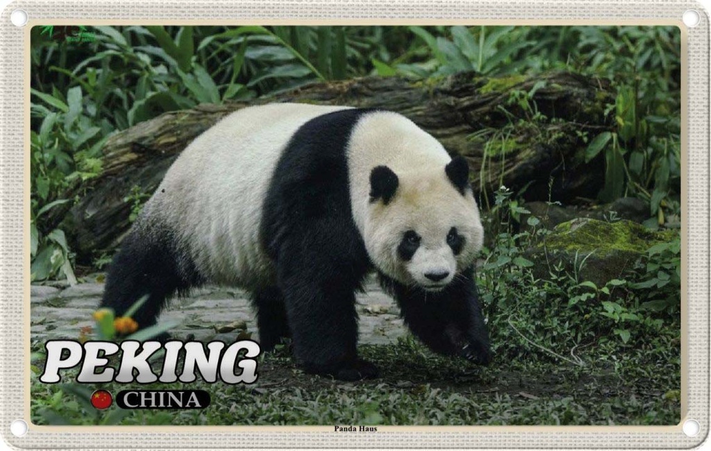 Blechschild 20x30 cm Peking China Panda Haus Bildmotiv Reisemotiv Abenteuer Reisen Urlaub