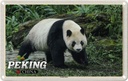 Blechschild 20x30 cm Peking China Panda Haus Bildmotiv Reisemotiv Abenteuer Reisen Urlaub