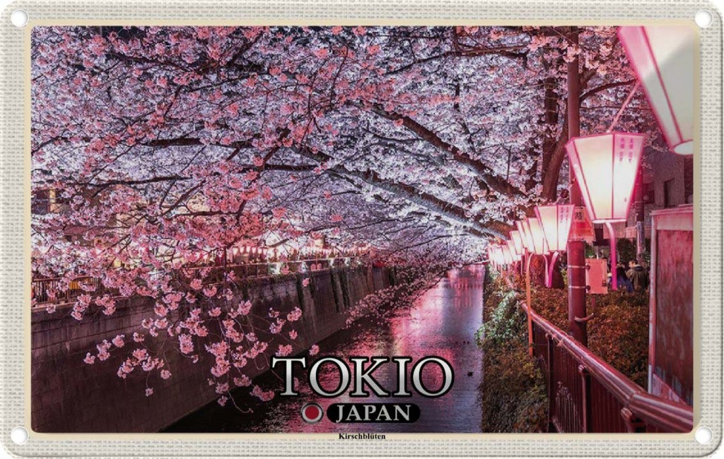 Blechschild 20x30 cm Tokio Japan Kirschblüten Bäume Fluss Bildmotiv Reisemotiv Abenteuer Reisen Urlaub
