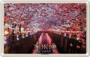 Blechschild 20x30 cm Tokio Japan Kirschblütenfest Bäume Fluss Bildmotiv Reisemotiv Abenteuer Reisen Urlaub