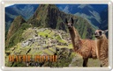 Blechschild 20x30 cm Machu Picchu Urlaub Ruinen der Inka-Stadt Lamas Bildmotiv Reisemotiv Abenteuer Reisen