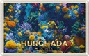 Blechschild 20x30 cm Hurghada Ägypten Korallenriff Fische Bildmotiv Reisemotiv Abenteuer Reisen Urlaub